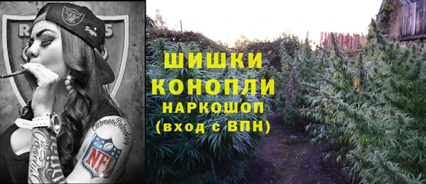 дживик Алзамай