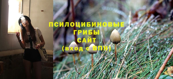 spice Алексин