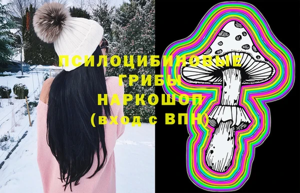 spice Алексин