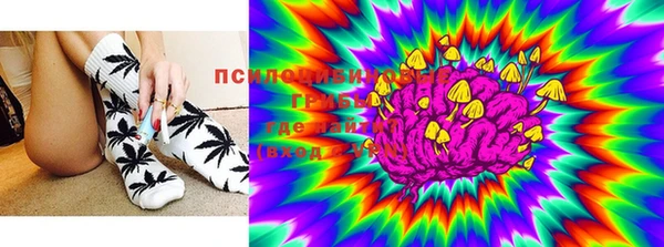 бошки Яровое