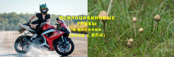 бошки Яровое