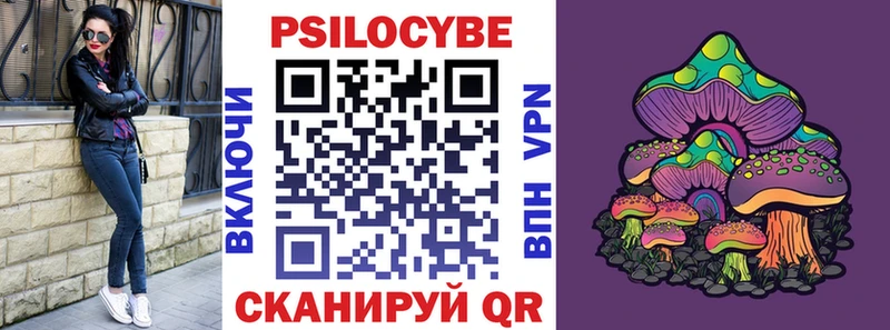 Галлюциногенные грибы мицелий  Ставрополь 
