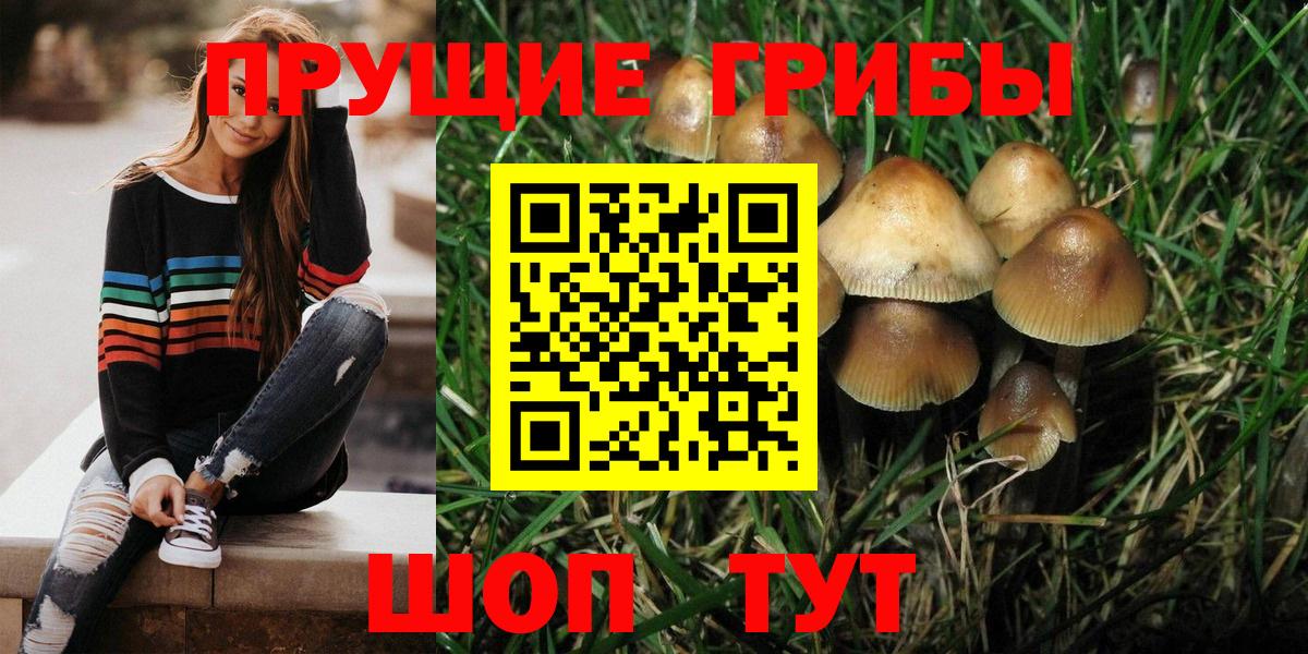 Псилоцибиновые грибы Psilocybe  Вход с VPN  Ставрополь 