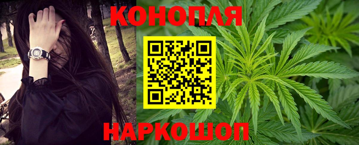 МАРИХУАНА ГИДРОПОН Ставрополь